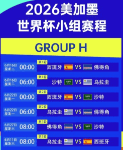 FIFA World Cup 2026 分组抽签仪式